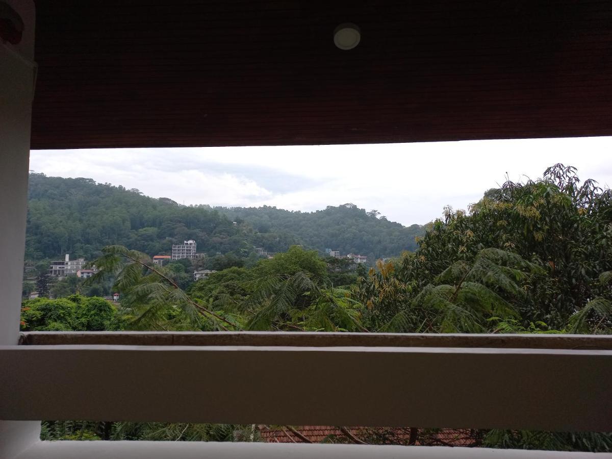Lazy Bear Best Hostel In Kandy Exteriör bild