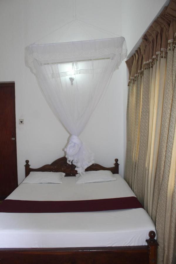 Lazy Bear Best Hostel In Kandy Exteriör bild