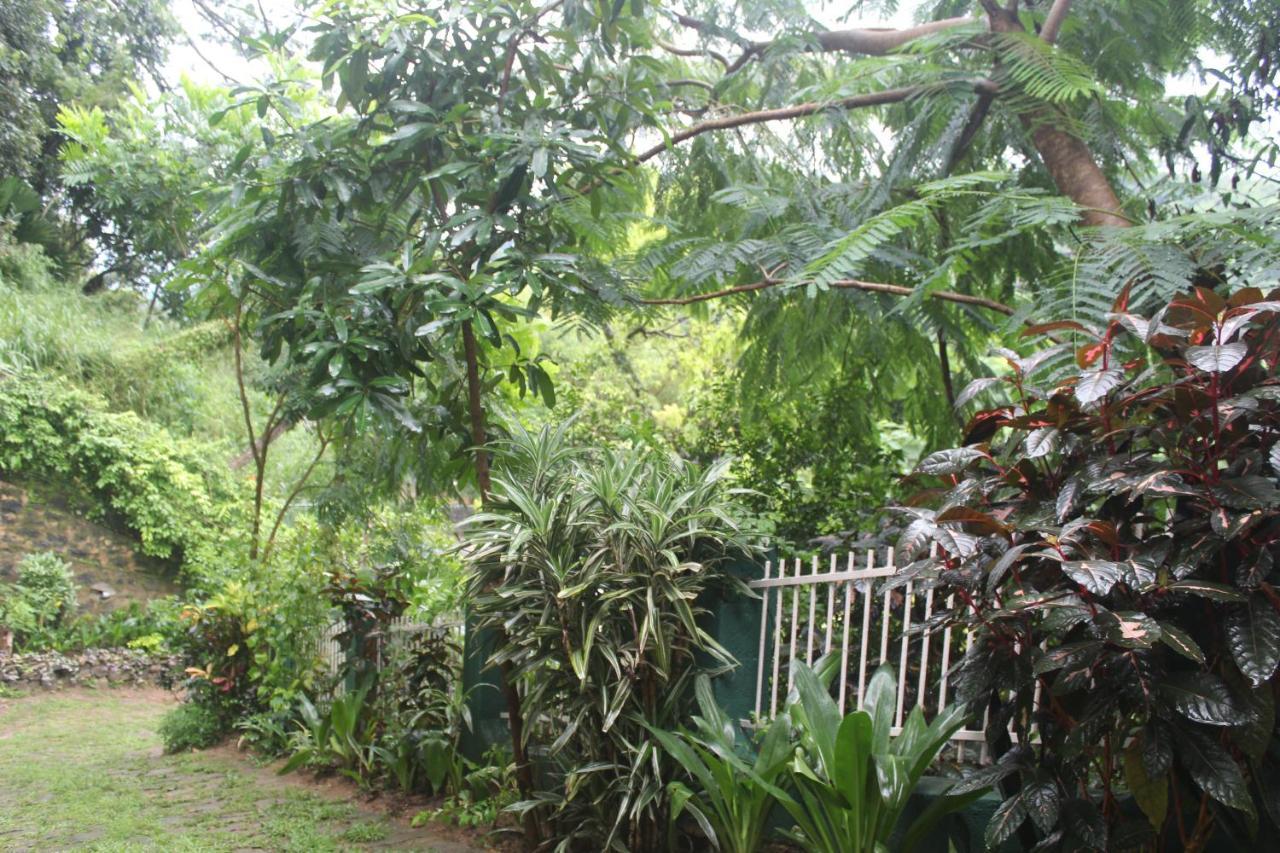 Lazy Bear Best Hostel In Kandy Exteriör bild