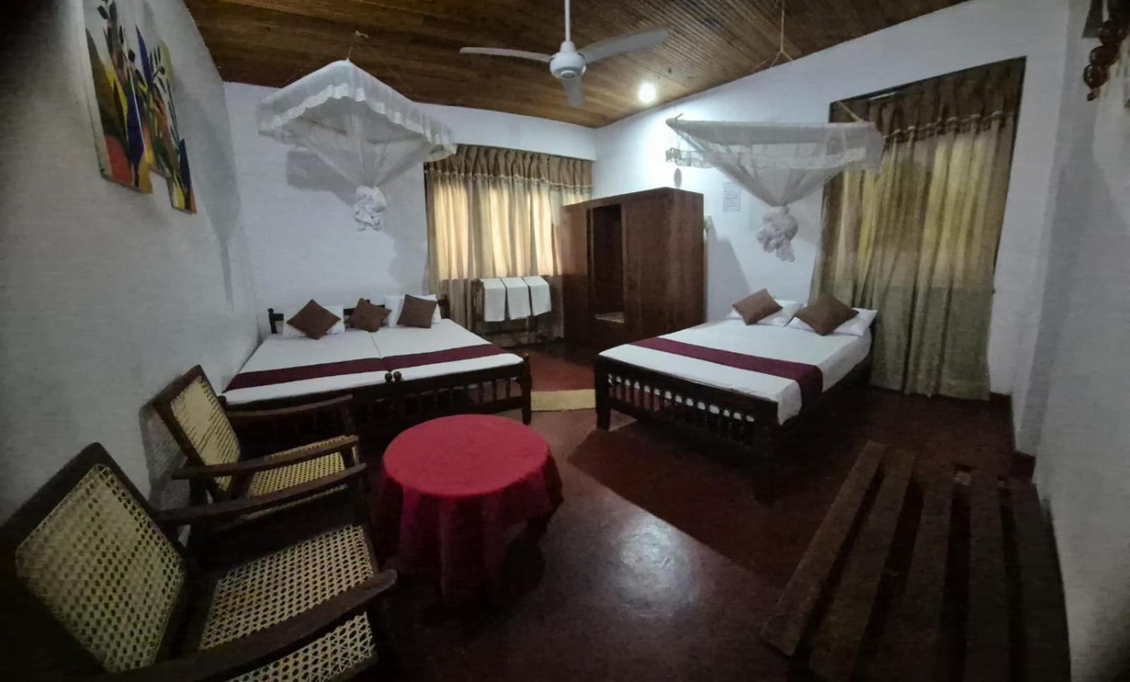 Lazy Bear Best Hostel In Kandy Exteriör bild